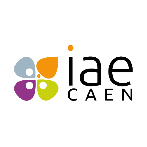 13-iae caen
